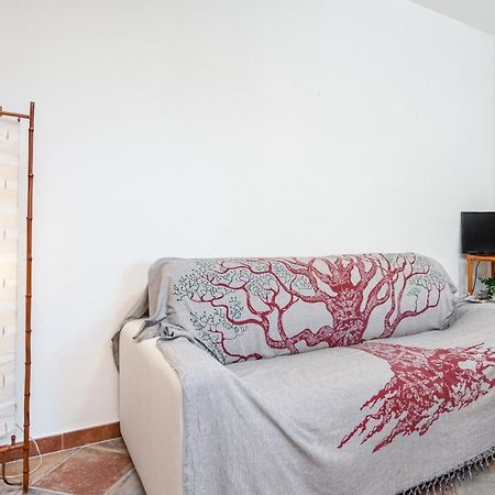 Holiday House Li Piri Сан-Теодоро Экстерьер фото